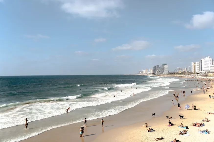 2650 px by 1709px-17